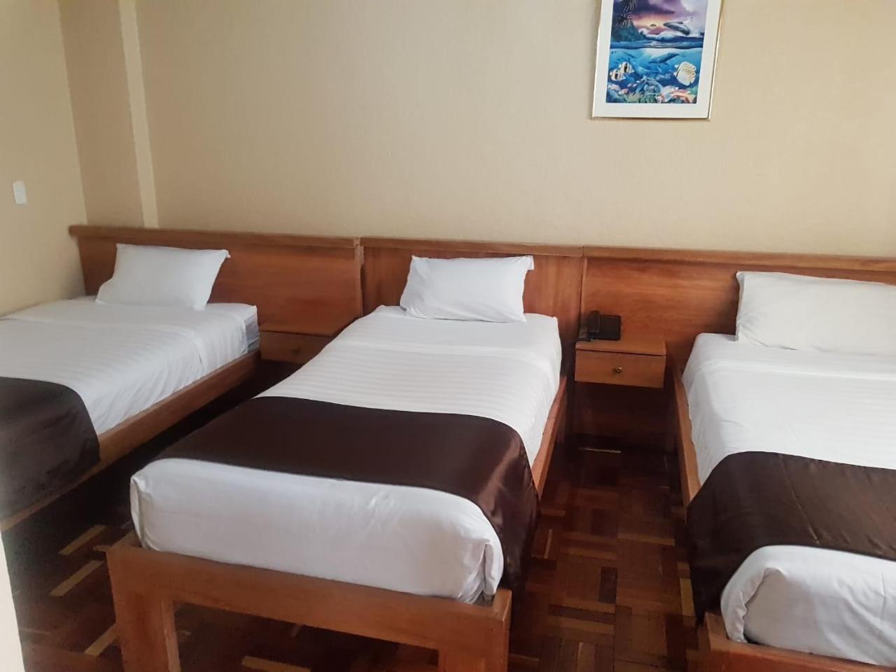 Hostal Loro Verde Quito Exterior photo